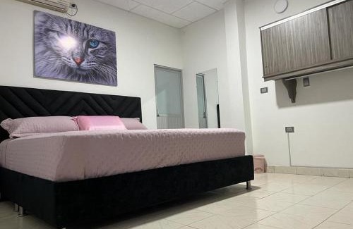 Arauca Casa | COOL HOUSE 24Horas