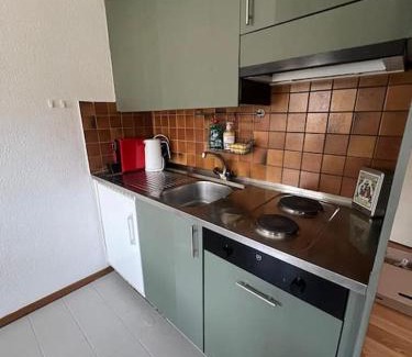 Fribourg Apartamento | Cooles Apart an der Kathedrale