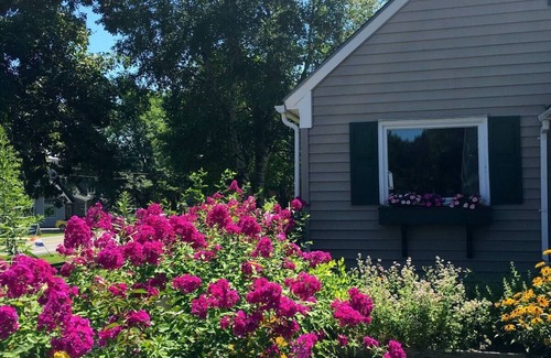 Cooperstown Casa | Coops Dream House: Dreams Park Views!