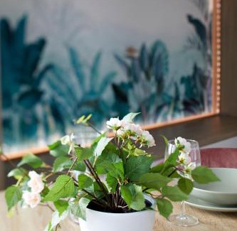 Hindisheim Apartamento | cosy-alsace