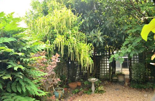 Alresford Casa | Cosy house, a train spotter's delight!