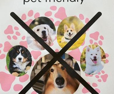 Waterhouse Casa | Cosy On Tobruk