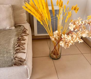 Estanove Apartamento | Cosy T2 neuf avec balcon Proche centre & plage