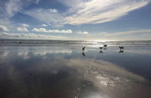 Rhiwbryfdir Casa | Cosy terrace cottage built into the mountain side.