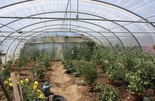 Saint-Pol-de-Leon Casa | Cottage Bel Aire, tierra y mar, en Saint-Pol-de-Léon (N29)