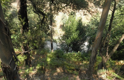 Figueiro dos Vinhos Cabaña | Cottage easy access, very quiet and comfort.