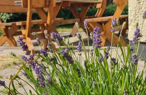 Hintersee Casa | Casa-Firma-Baño privado-Terraza-eigener Garten