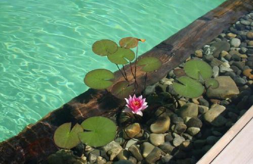 Leymen Casa | COTTAGE-GITE COEUR DE SUNDGAU