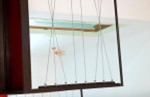 Noves Cabaña | casa rural en el campo a los pies de los alpilles y Aviñón