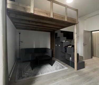 Brno-stred Apartamento | Cotton&Loft - Brno City Center Apartment