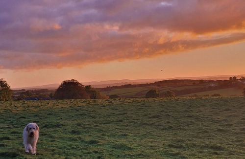 Lifton Casa | Country Barn With Private Garden & Games Room! Fantastic for Families or Groups