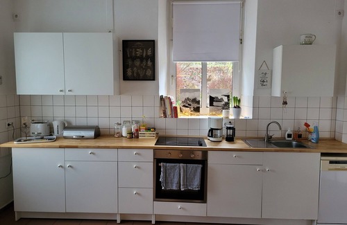 Halver Villa | Country idyll, child-friendly, minipigs, ponies, up to 13 people