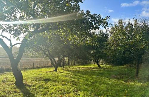 Crediton Casa | Countryside cottage near Crediton