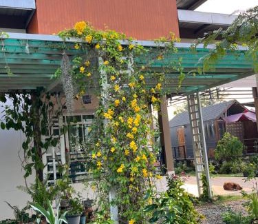 Phanat Nikhom Casa | Countryside Rainbow Sweet Home Freshy Pets