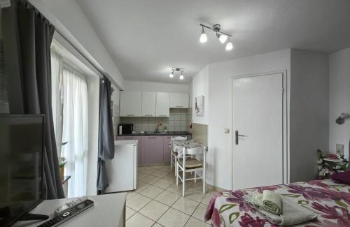 Salatic Apartamento | Countryside Studio Apartment Valentina