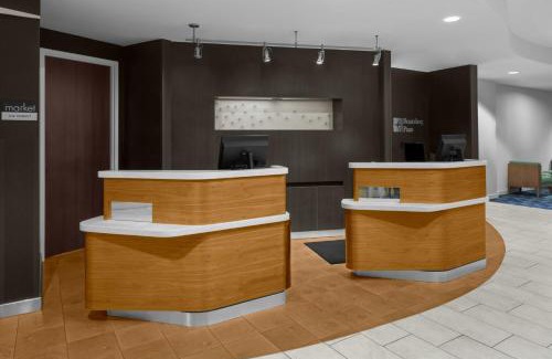 Oldsmar Hotel | Courtyard Tampa Oldsmar