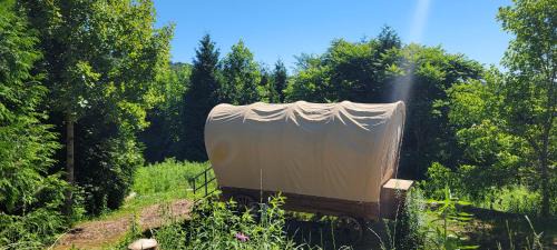 Lenoir Otro | Covered Wagons Hill Camp - WAGON 4