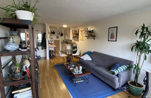 Pill Hill Apartamento | Cozy 1-bedroom apartment in excellent Oakland with WiFi