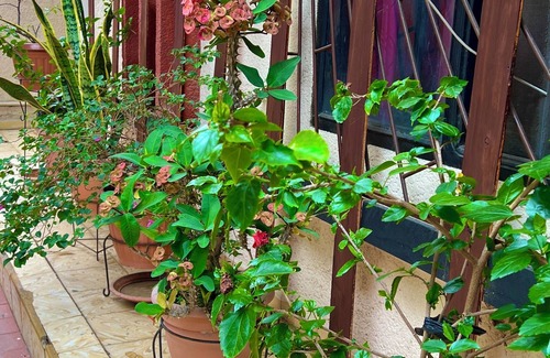 Santa Cruz Casa | Vrbo Property