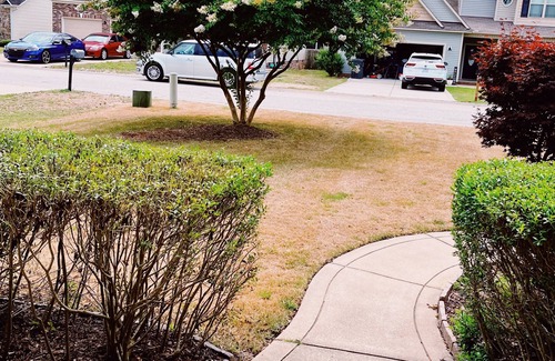 Cape Fear Casa | Cozy 1pvt room & bath for Traveler/Nurse 2min i95