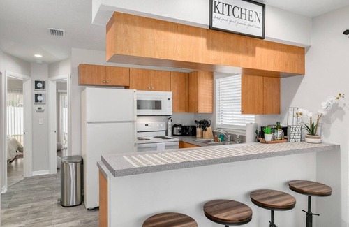 Safety Harbor Apartamento | Cozy 2/1 Walkable to dwtn Safety Harbor