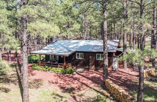 Williams Cabina | Cozy 3BDR Rogue Bear Cabin The Perfect Williams - Grand Canyon Getaway