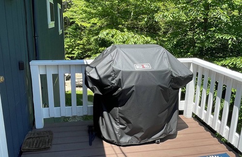 Moultonborough Chalet De Esquí | Cozy 4 BR chalet, short walk to park, tennis, and beach! Pets ok! 425 a night.