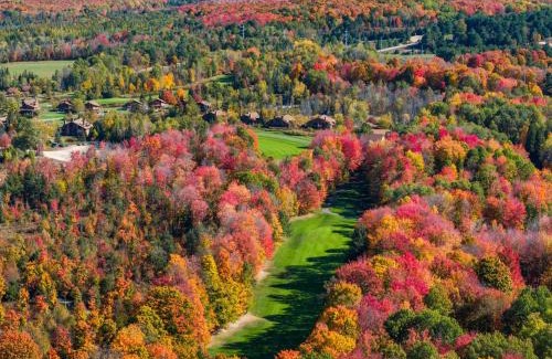 Bellaire Casa | Cozy A-frame Cabin At Schuss Mt Ski, Golf