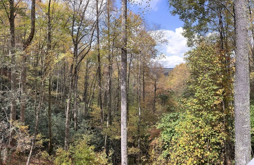 Cullowhee Chalet De Esquí | Cozy A Frame Cottage above Lake Glenville - Pet Friendly