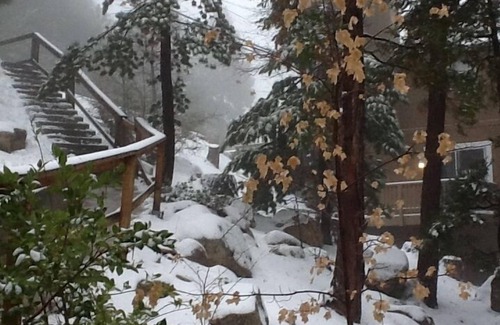 Lake Arrowhead Casa | Acogedor y encantador retiro privado con derechos de lago