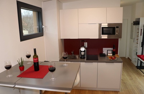 Schrattenberg Apartamento | Cozy apartment (32 sqm) for up to 4 people with terrace