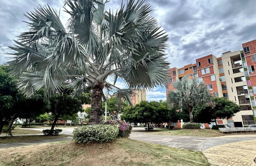 San Jose de Cucuta Apartamento | Cozy apartment with 3 apartments