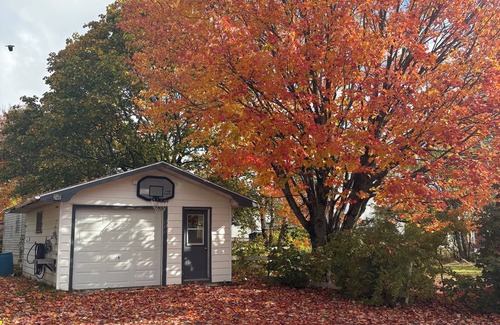 Sydney Apartamento | Cozy basement suite in a great central location!