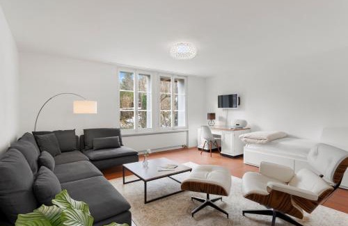 Goldau Apartamento | Cozy Boutique Apartment at Mt. Rigi