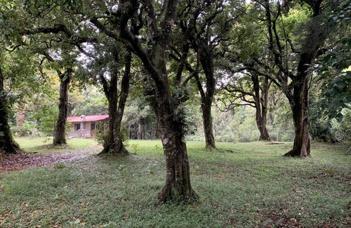 Roble Cabina | Cozy Cabin, 10 minutes from Heredia, forest around