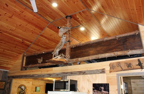 Jasper Cabina | Cozy cabin in charming Hornell.Riding distance to Tall Pines and close to Alfred