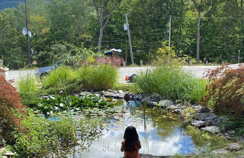East Dorset Cabina | Cozy Cabin in Green Mountains