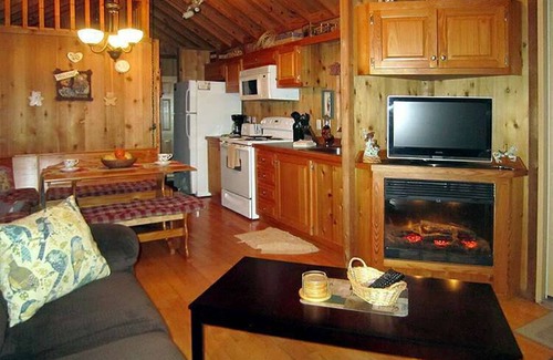 Lake Panasoffkee Cabina | Cozy Cabin in riverfront resort