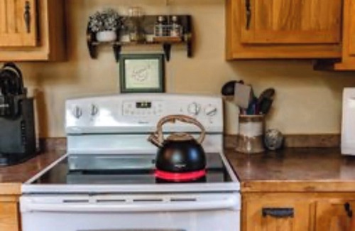 Webster Cabina | Cozy Cabin in the Woods
