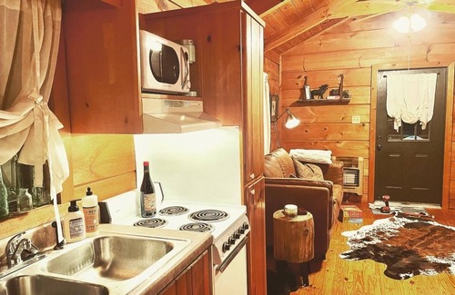 Enoree Cabina | Cozy cabin in the woods! Pets welcome!