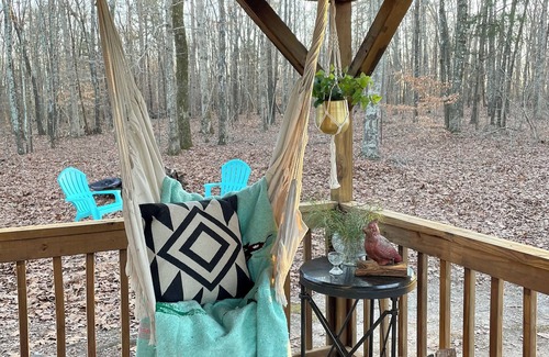 Enoree Cabina | Cozy cabin in the woods! Pets welcome!