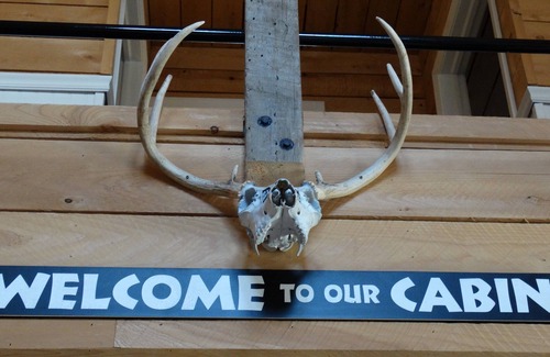 Millerton Casa | Cozy Cabin in the woods with pool table!