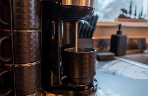Remsen Cabina | Cozy Cabin Near kayuta Lake-The Black Bear