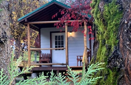Idleyld Park Cabina | Cozy Cabin near Trailheads and Waterfalls in the Umpqua National Forest, Oregon