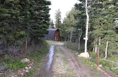 Tollgate Canyon Cabina | Acogedora cabaña / Park City / zona boscosa de montaña con vistas espectaculares