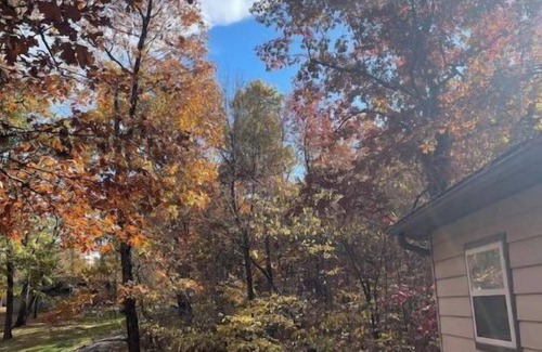 Carbondale Apartamento | Cozy Cabins in the woods.