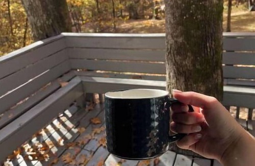 Carbondale Apartamento | Cozy Cabins in the woods.