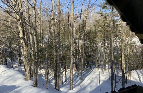 Bessemer Chalet De Esquí | Chalet de esquí Creekside cerca de la montaña Big Powderhorn