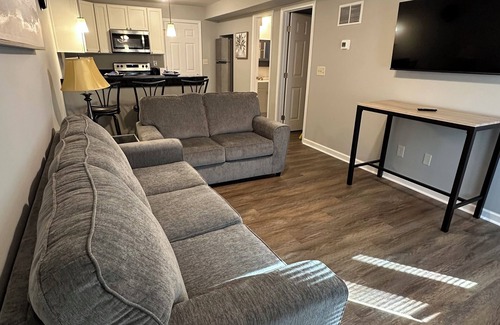 Fayetteville Apartamento | "Cozy Fully-Furnished 1-Bedroom Apartment in Fayetteville Ga"
