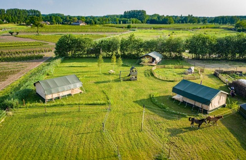 De Bus Casa | Acogedor glamping en Limburgo